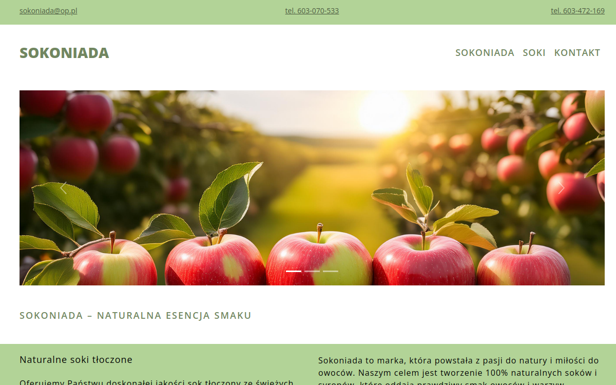Sokoniada — screenshot