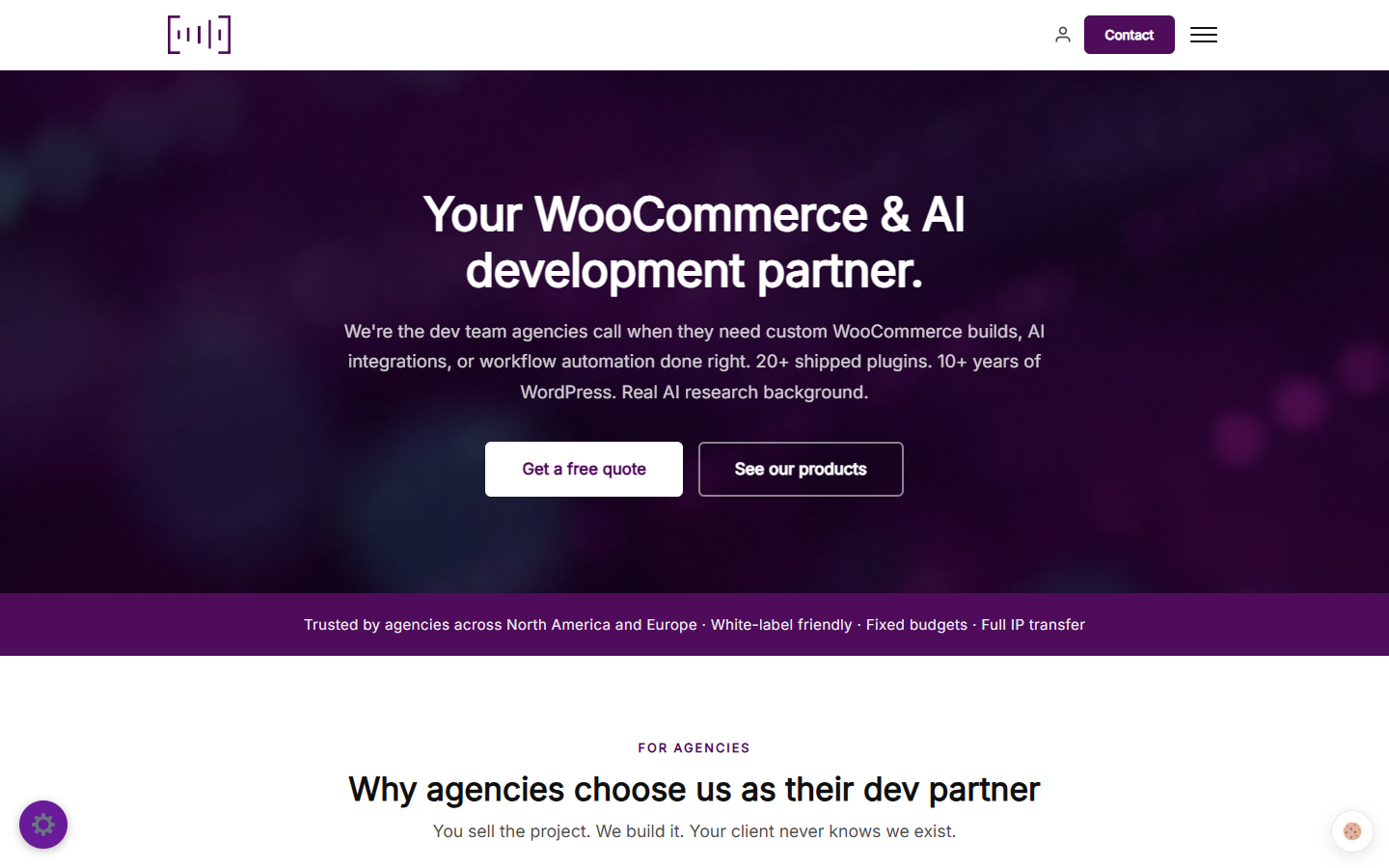 Strona dla software house i agencji WooCommerce – AutCode – zrzut ekranu realizacji