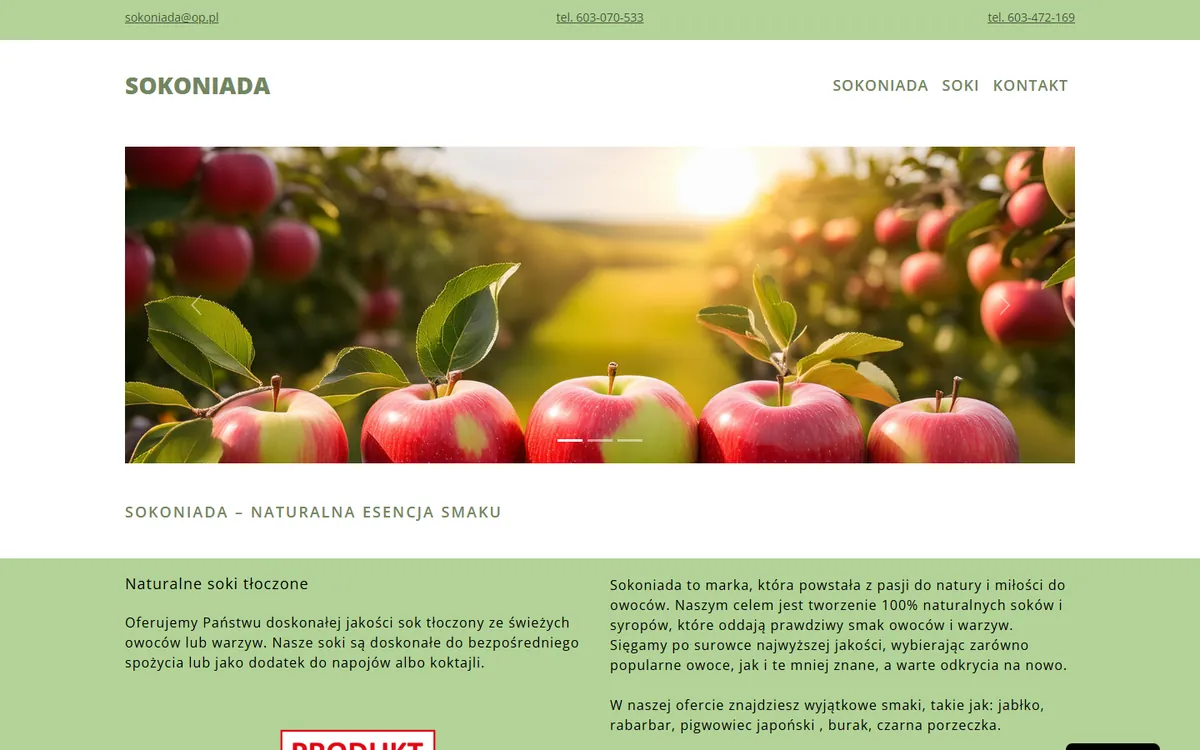 Sokoniada — Strona wizytówkowa: zrzut ekranu strony internetowej, realizacja Kreatywnej Agencji